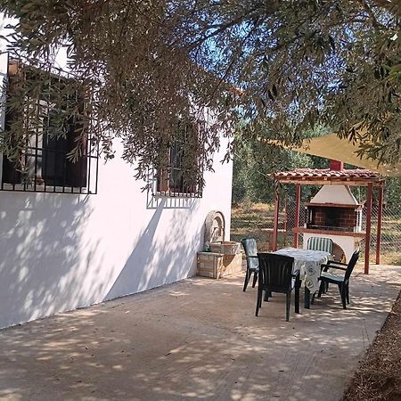 The Small House In The Olive Grove Lefokastro Esterno foto