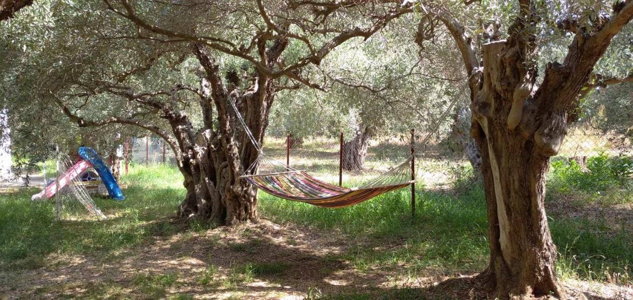 The Small House In The Olive Grove Lefokastro Esterno foto