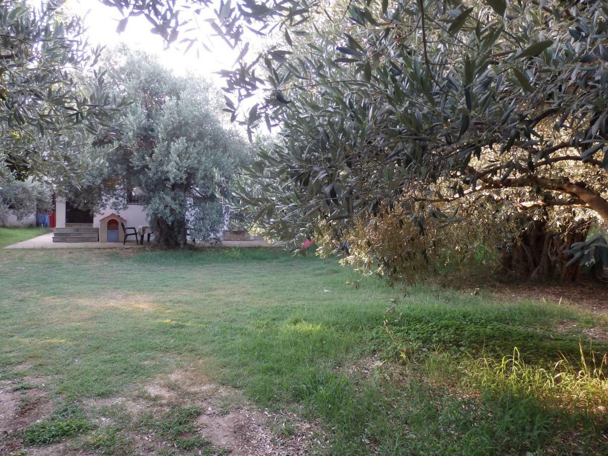The Small House In The Olive Grove Lefokastro Esterno foto