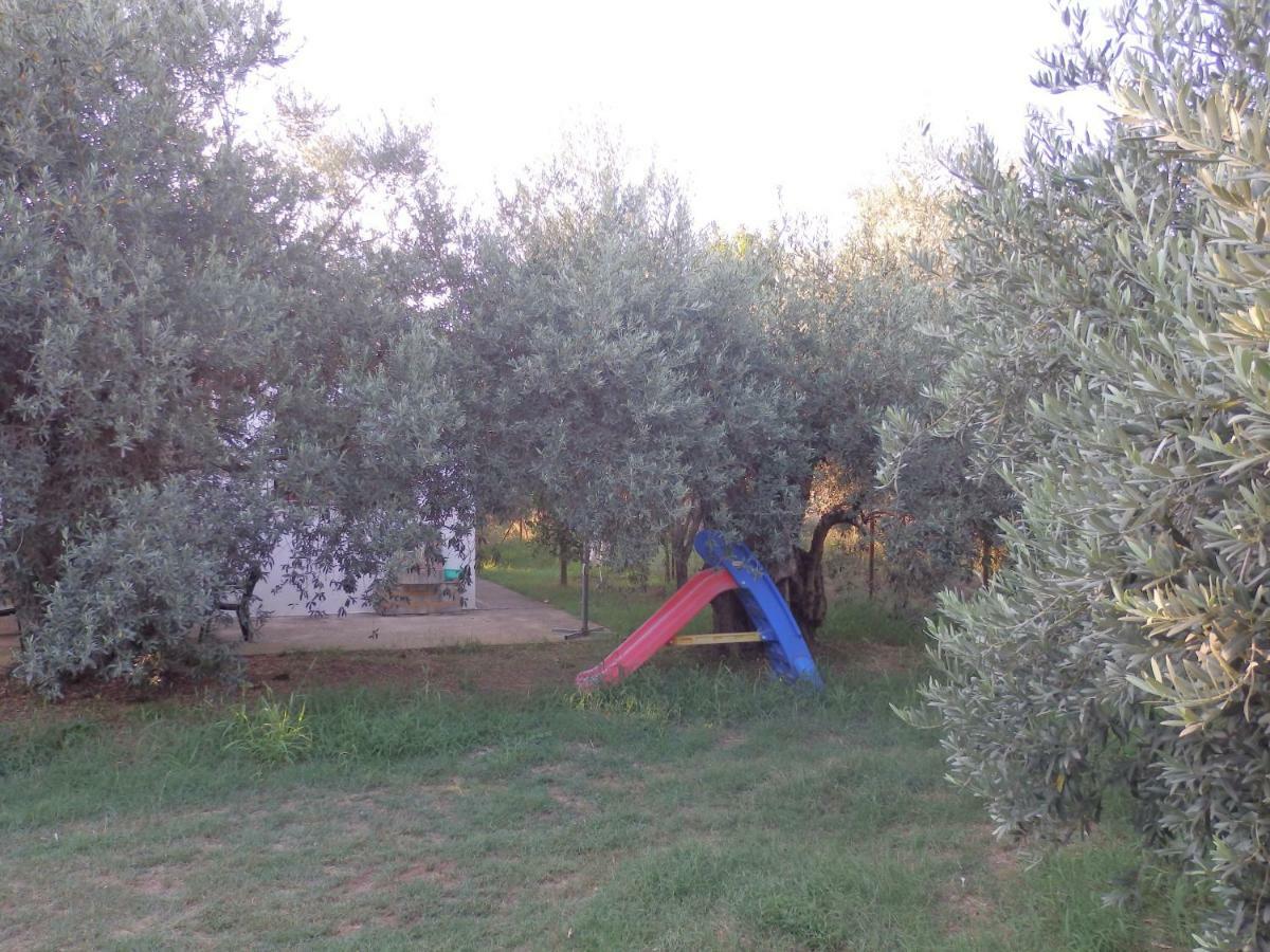 The Small House In The Olive Grove Lefokastro Esterno foto