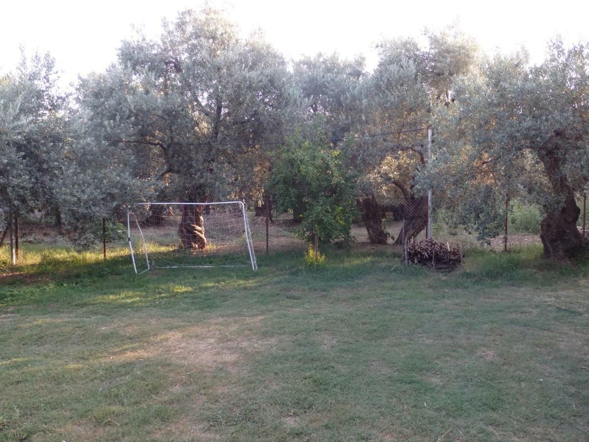 The Small House In The Olive Grove Lefokastro Esterno foto
