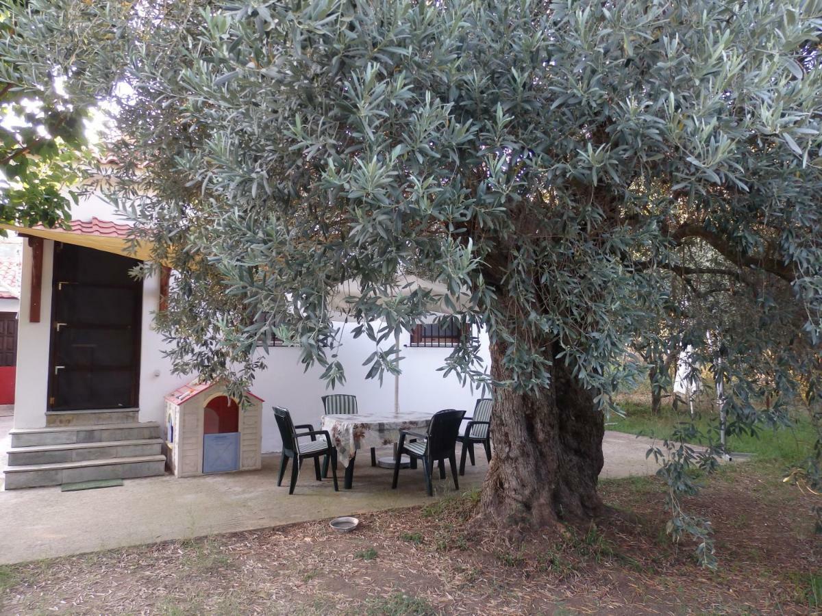The Small House In The Olive Grove Lefokastro Esterno foto