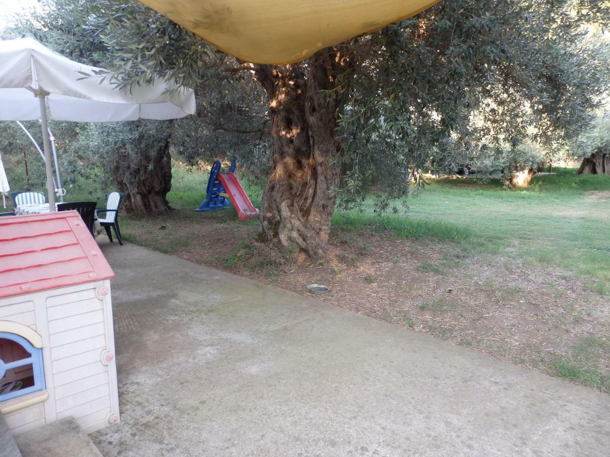 The Small House In The Olive Grove Lefokastro Esterno foto