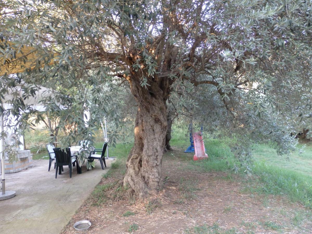 The Small House In The Olive Grove Lefokastro Esterno foto