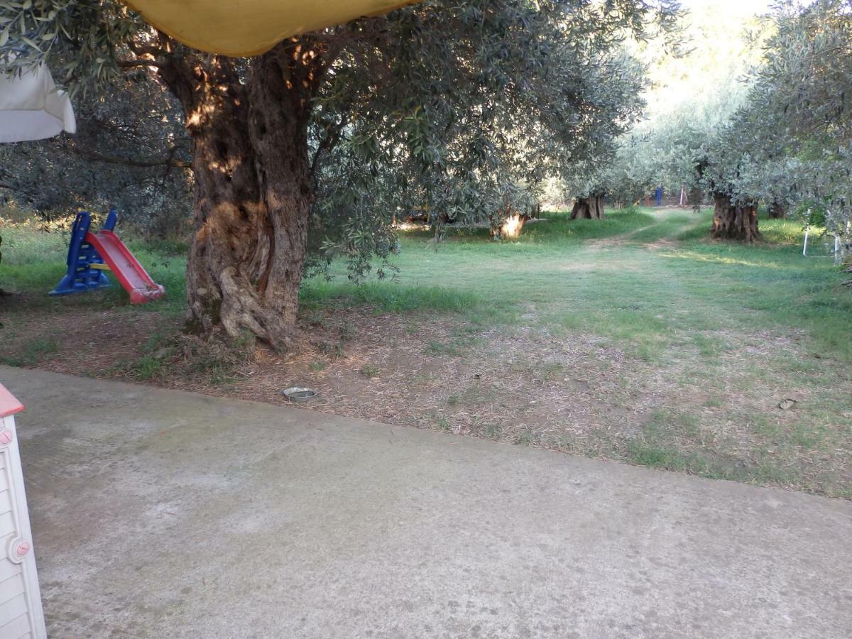 The Small House In The Olive Grove Lefokastro Esterno foto